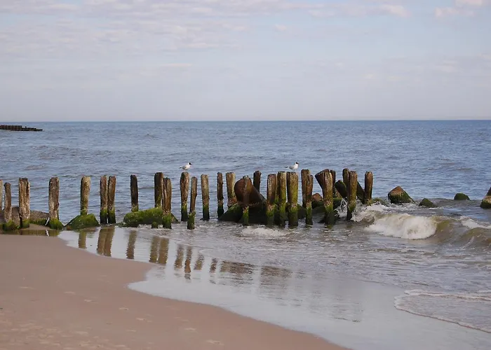 住宿加早餐酒店 Del Mar 尼彻兹